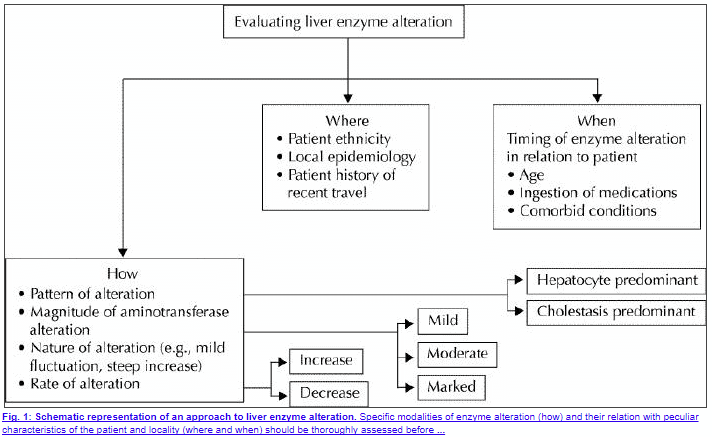 evaluation of elevated liver enzymes