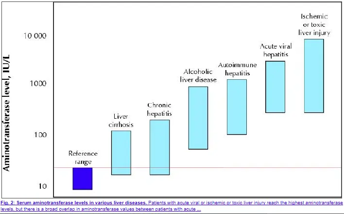 Liver Enzymes Normal Range Chart