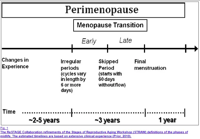 progesterone changes over time in the female