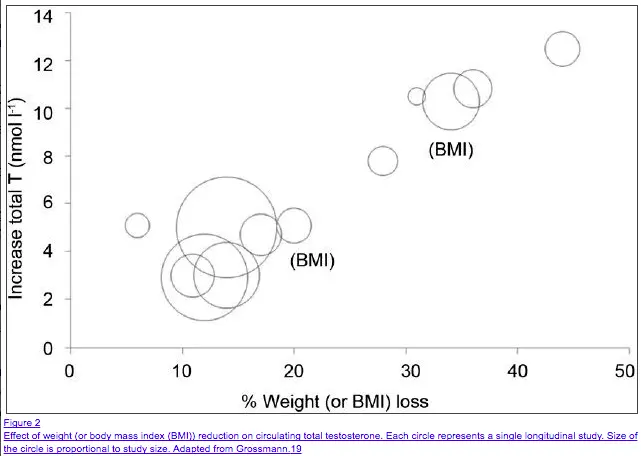 studies showing obesity compared to testosterone levels