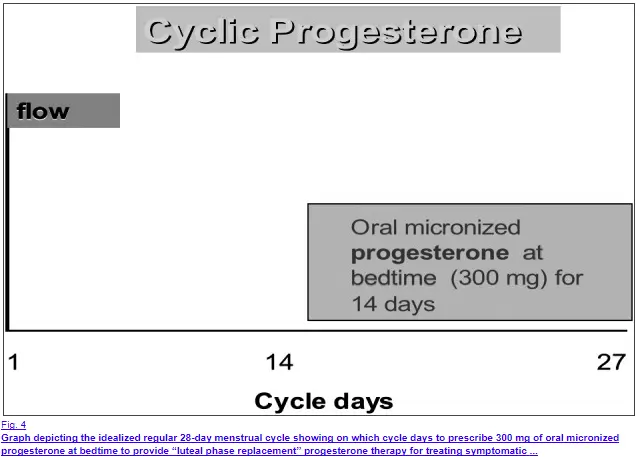 the use of progesterone during a typical menstrual cycle