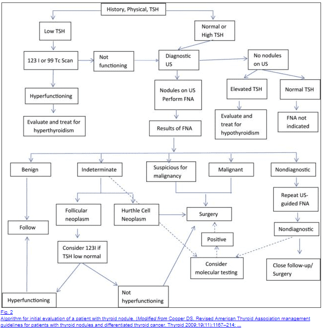 diagram outlining how to proceed based on TSH lab testing results