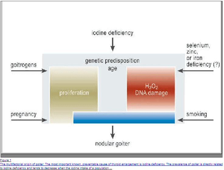 The most common causes which predispose patients to developing goiters