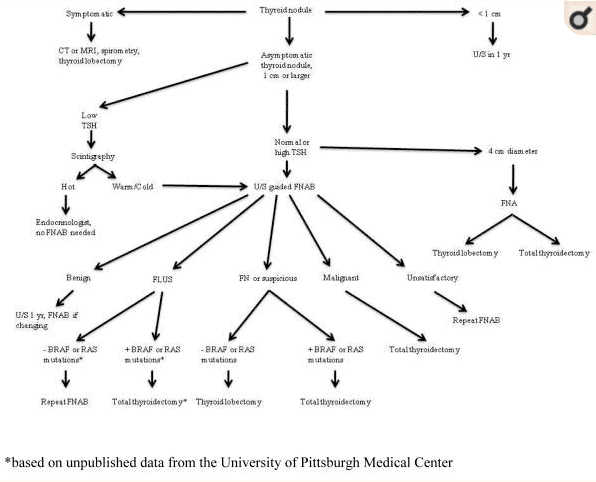 thyroid nodule treatment and evaluation algorithm