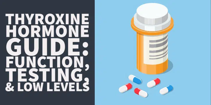 Thyroxine Guide: Hormone, deficiency, testing and more