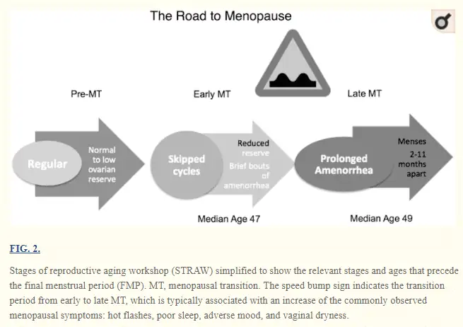 symptoms associated with perimenopause and menopause