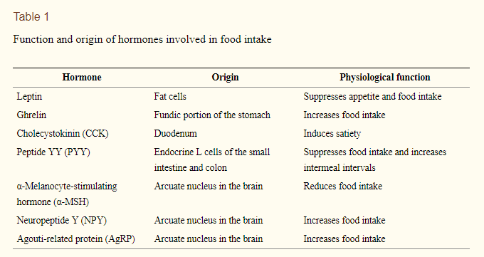 hormones which influence appetite during pregnancy