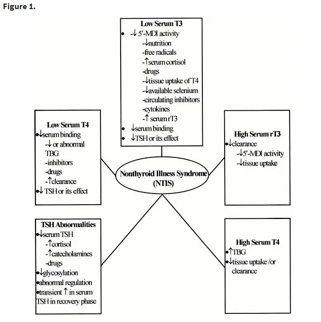 pathogenesis of euthyroid sick syndrome