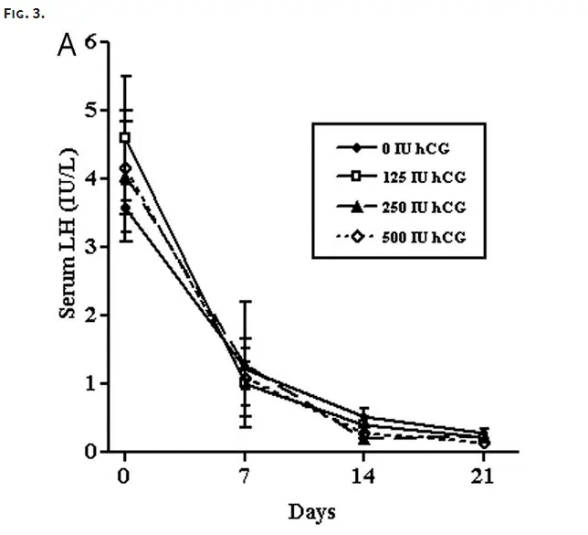 serum lh and FSH drop in response to hcg in men