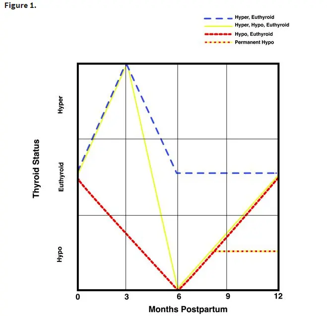 typical course of postpartum thyroiditis over time