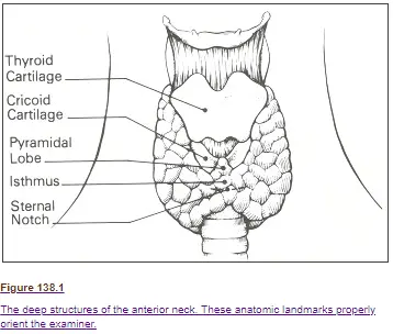 anatomy of the thyroid gland