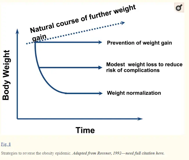 graph showing how weight progresses over time based on various factors