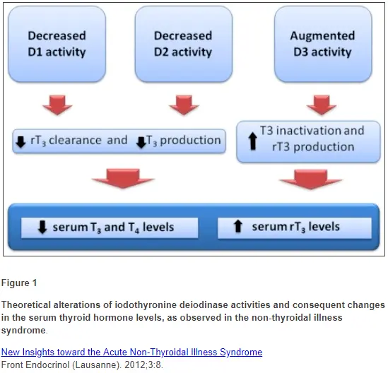 inactivation of D1 and D2 in nonthyroidal illness