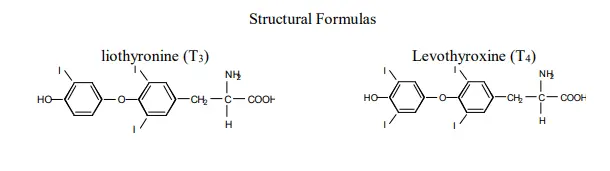 NDT contains both T4 and T3