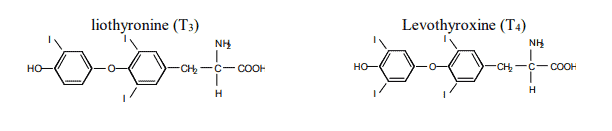 thyroid hormones in NP thyroid