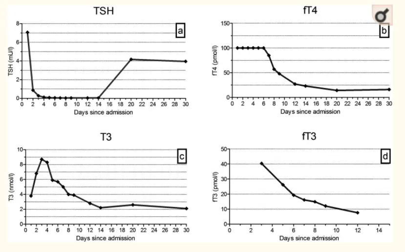 thyroid lab tests after acute ingestion of thyroxine