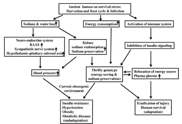 underlying causes of high blood pressure