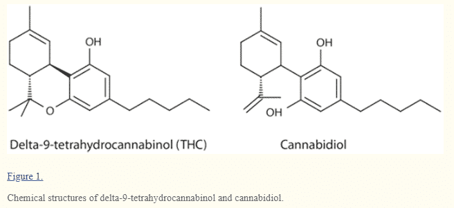 THC vs CBD chemical structure