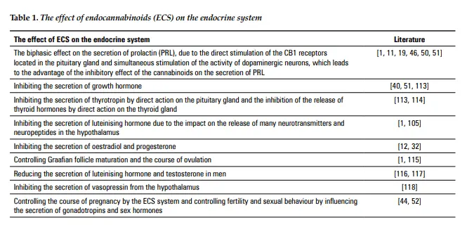 effects of endocannabinoids on the endocrine system