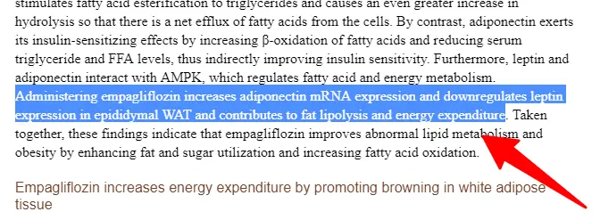 sglt-2 inhibitors and leptin resistance