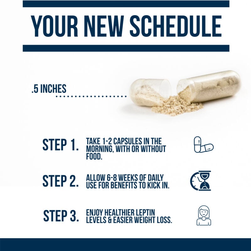 your new schedule while taking leptin resistance rx