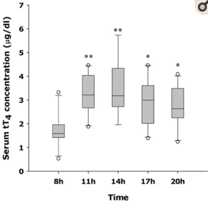 a graph showing serum T4 levels throughout the day and how the levels fluctuate. 