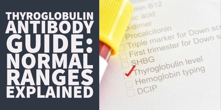 Thyroglobulin Antibody Guide Normal Ranges Explained