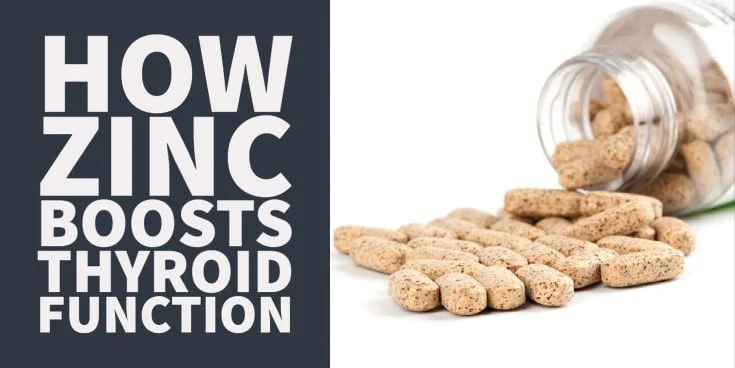 how zinc boost thyroid function