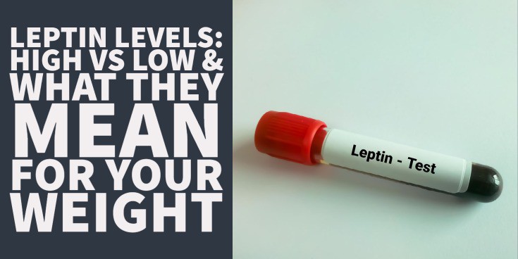 leptin levels: high vs low and what they mean for your weight