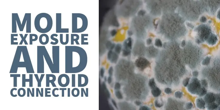 mold exposure and thyroid problems