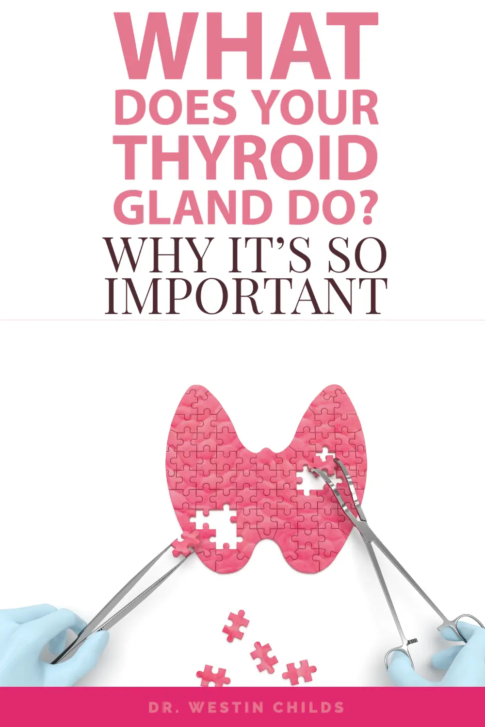 what does your thyroid gland actually do?