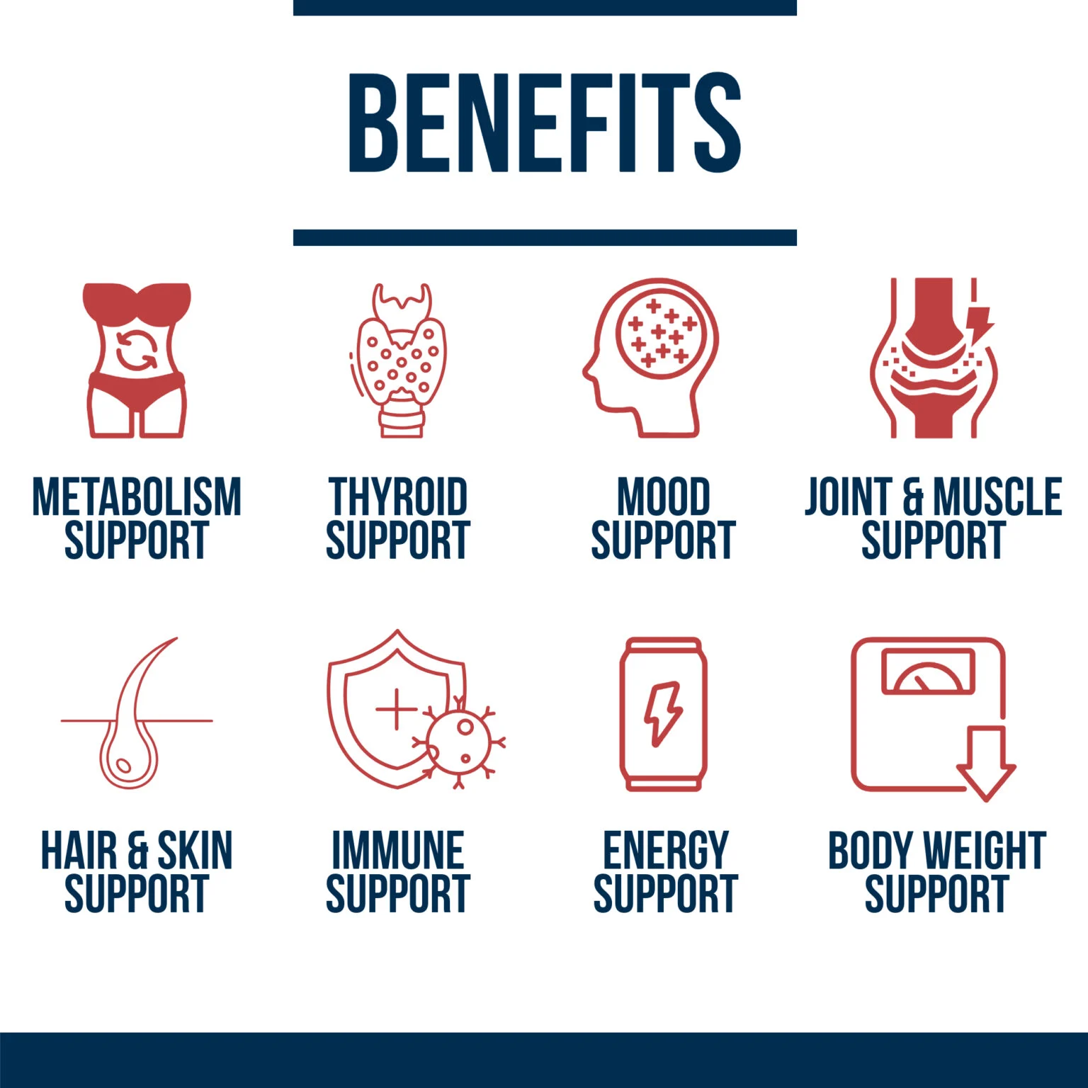 Thyroid Glandular+ GrassFed Bovine Desiccated Thyroid Support