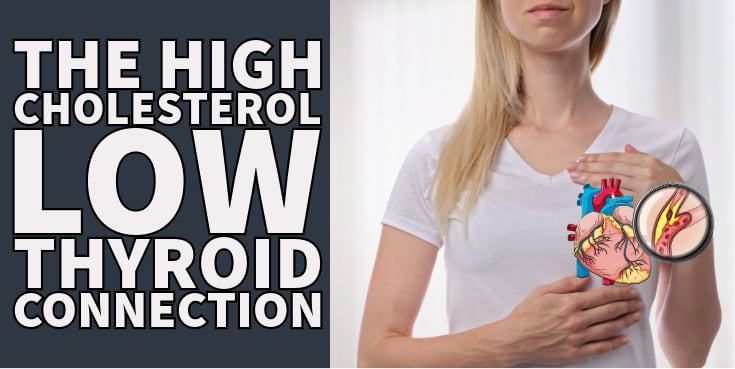 the connection between high cholesterol and low thyroid (hypothyroidism)