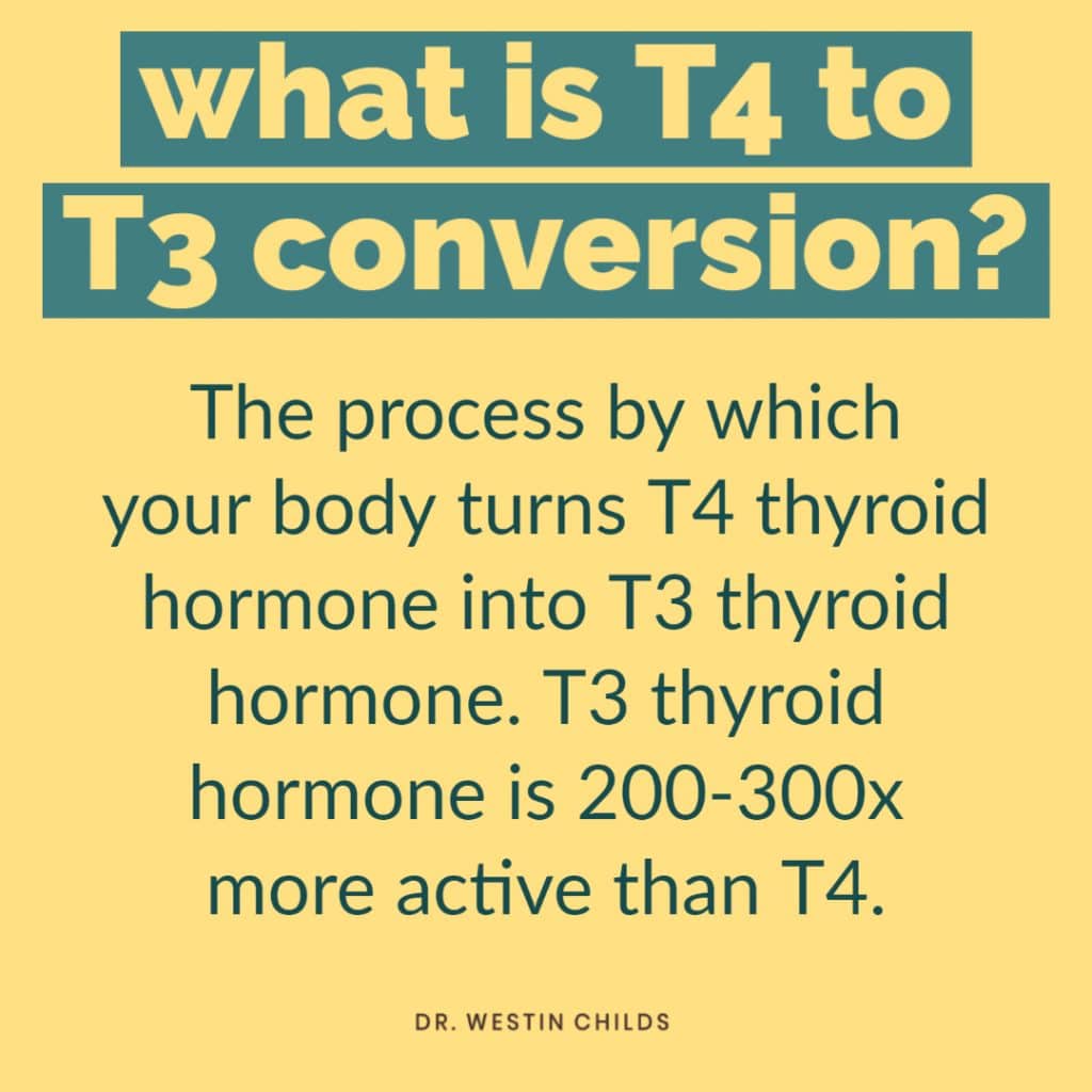 T4 To T3 Conversion Factors That Decrease Thyroid Function