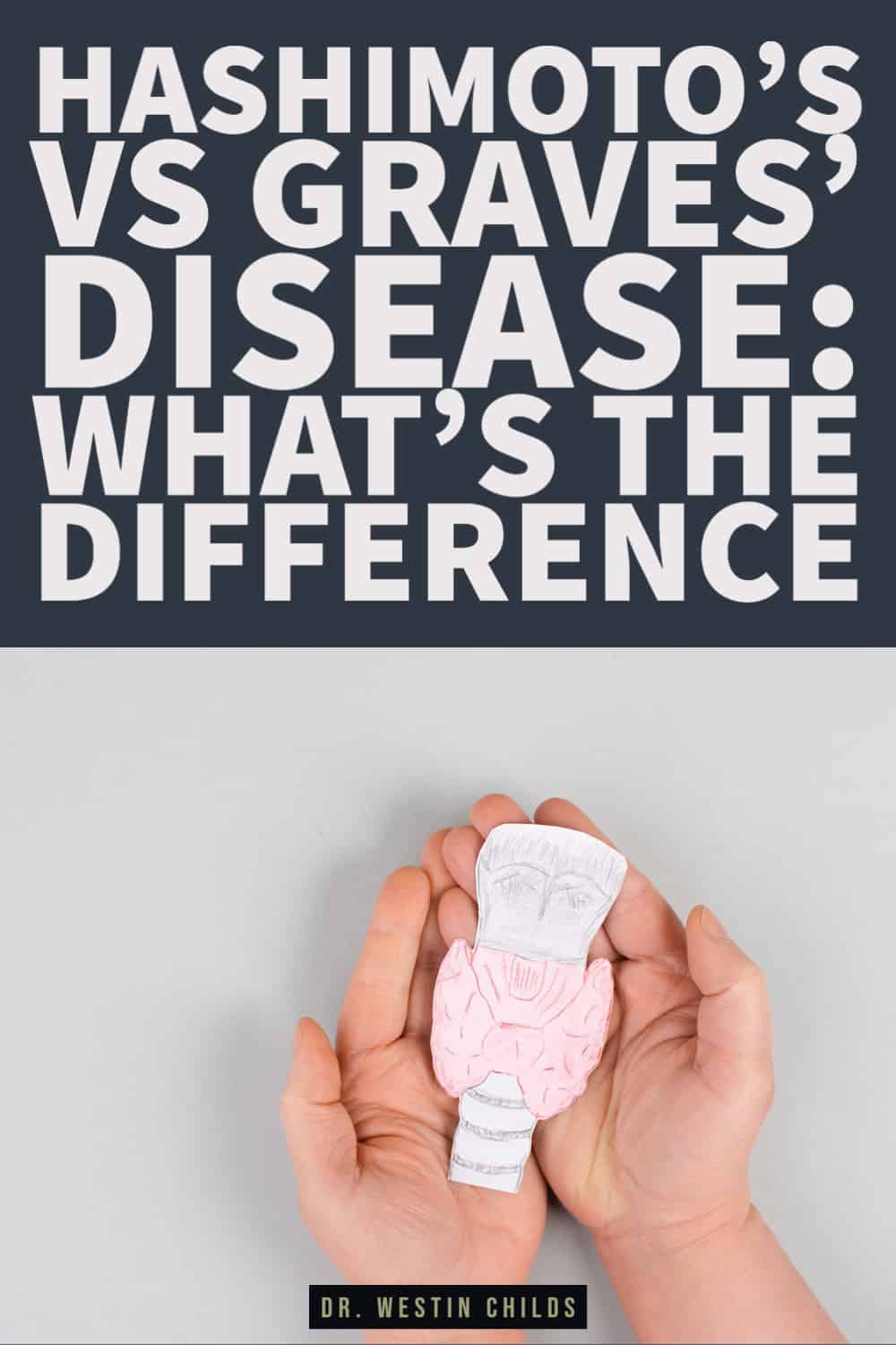 the biggest differences between graves' disease and hashimoto's the biggest differences between graves' disease and hashimoto's