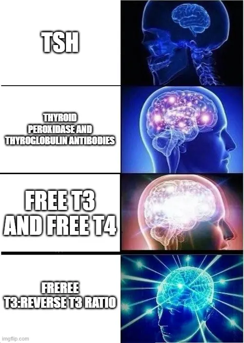 thyroid lab test progression full thyroid lab panel thyroid meme.