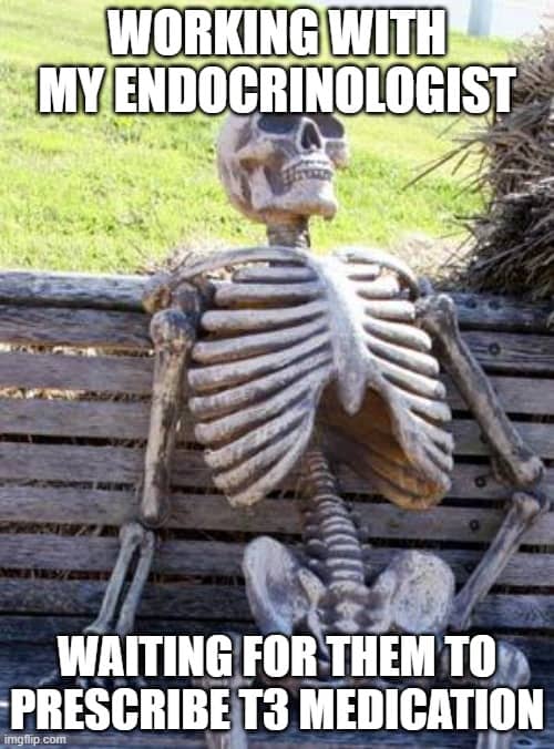 working with my endocrinologist waiting for them to prescribe t3 medication meme. 