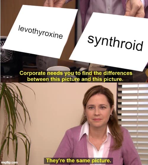 levothyroxine vs synthroid the office thyroid meme. 