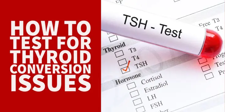 testing for thyroid conversion issues