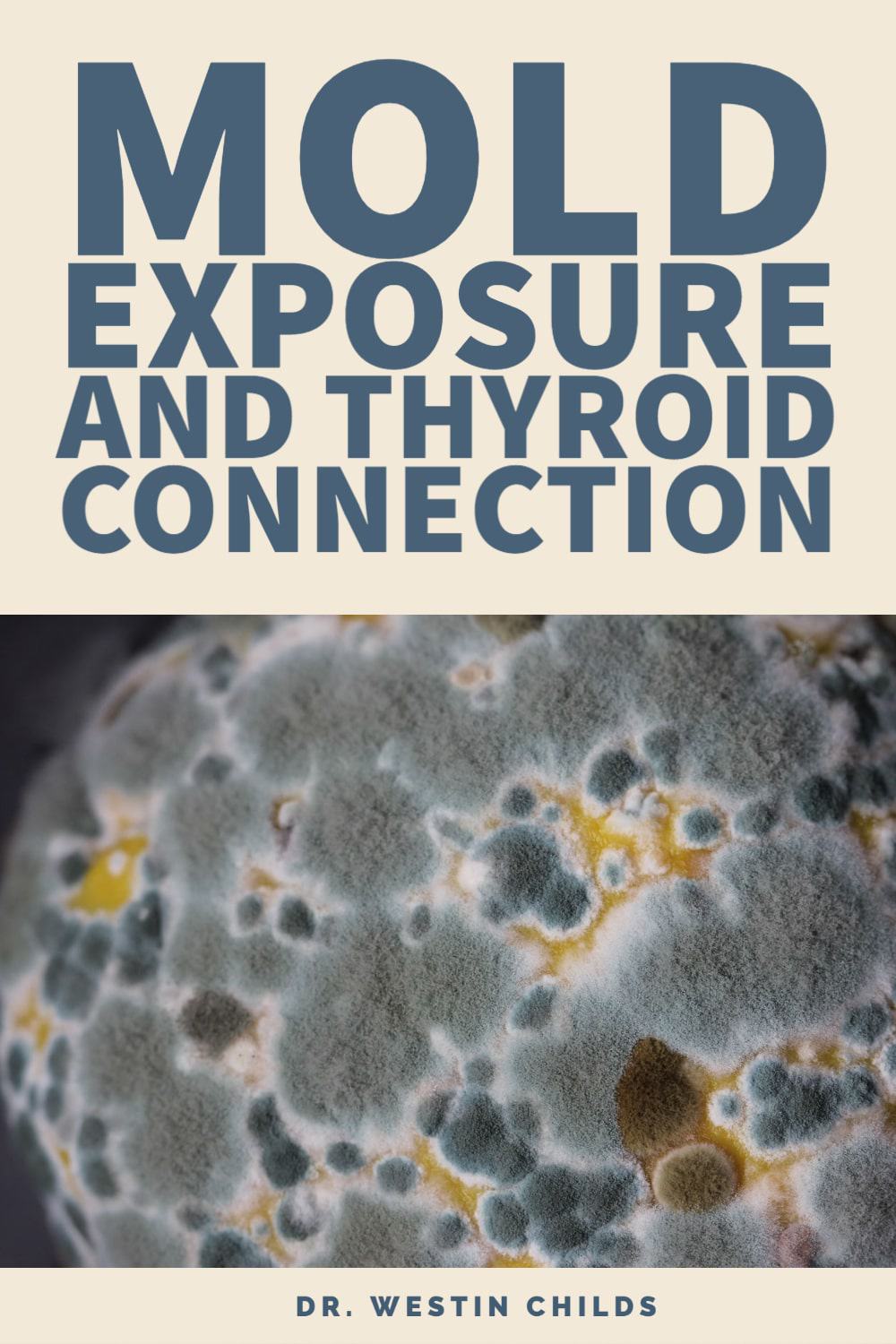 mold exposure and low thyroid connection mold exposure and low thyroid connection