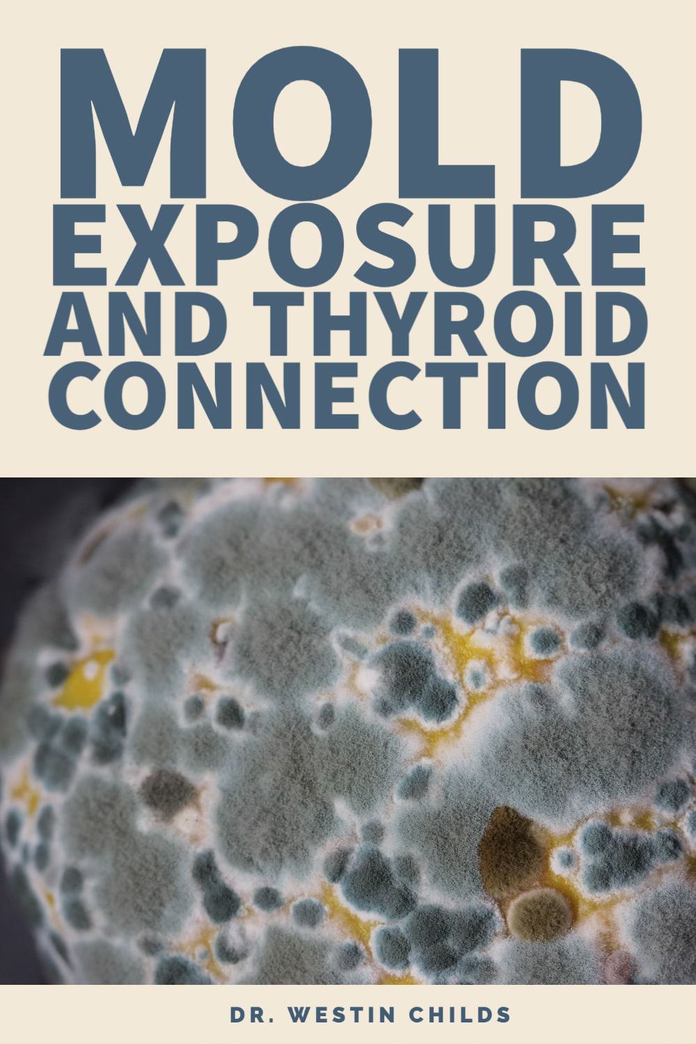 mold exposure and low thyroid connection