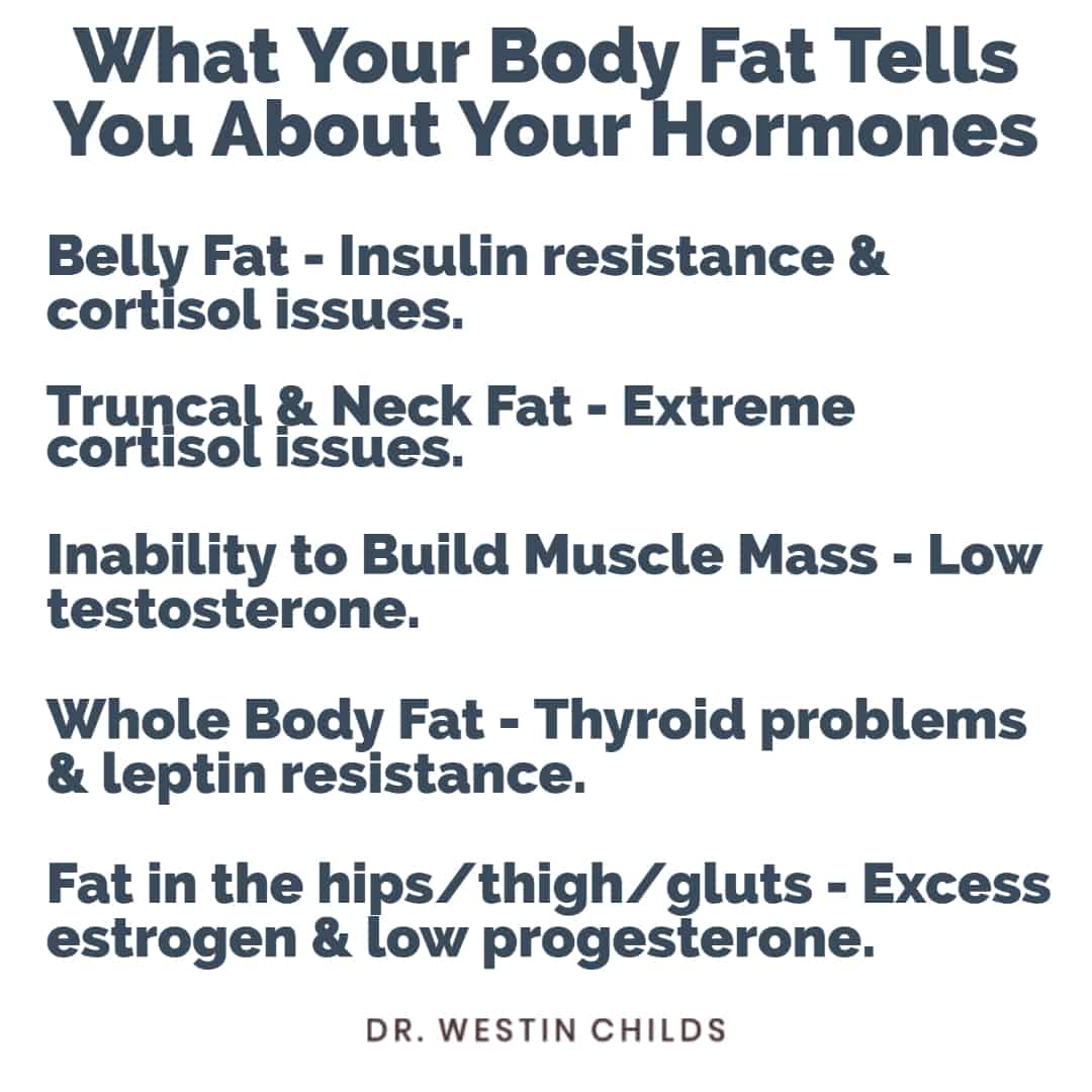 what your body fat tells you about your hormones