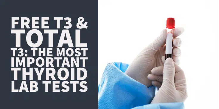 Why free T3 and total T3 are the most important thyroid lab tests