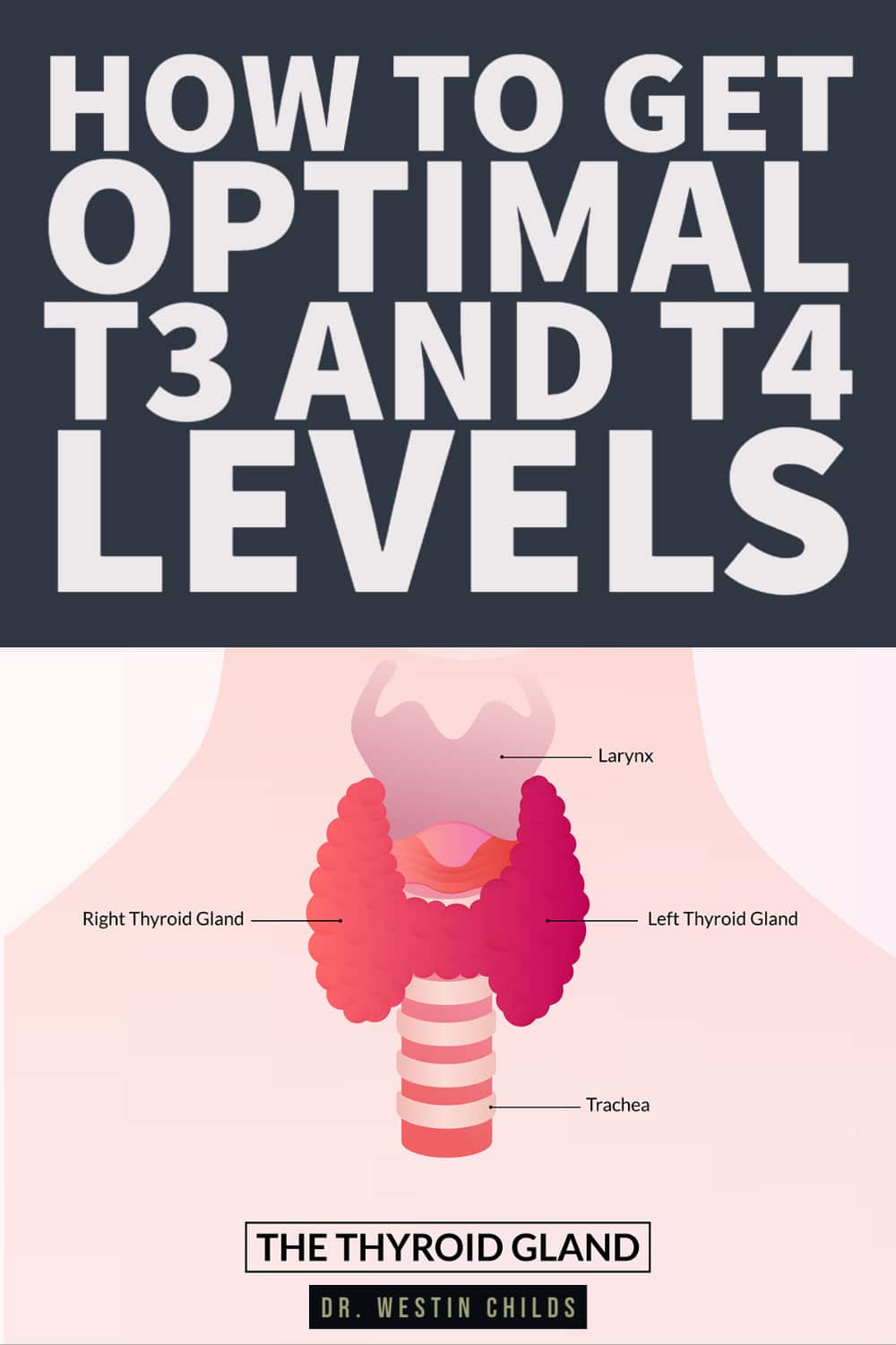 how to get optimal t3 and t4 levels