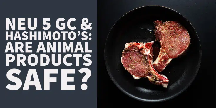 Neu 5 Gc and Hashimoto's: do animal products make Hashimoto's worse?