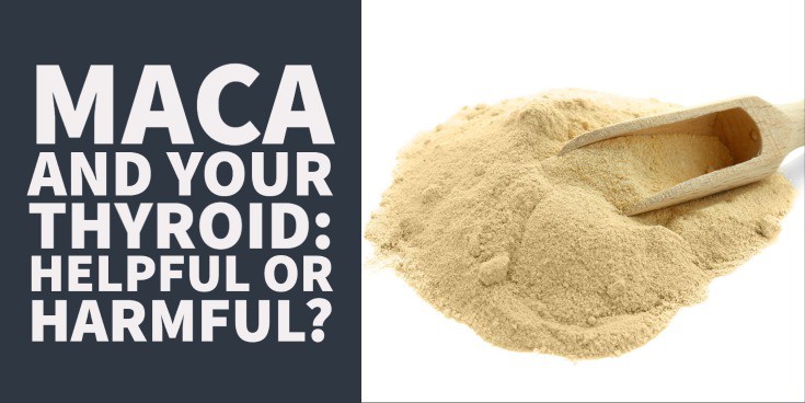 maca and your thyroid: helpful or harmful?