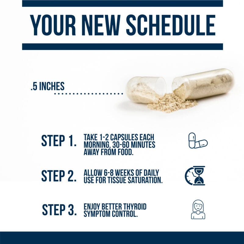 essential t2 your new schedule for taking thyroid support complex