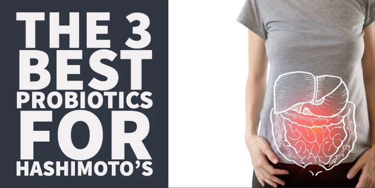 The 3 Best Probiotics for Hashimoto’s