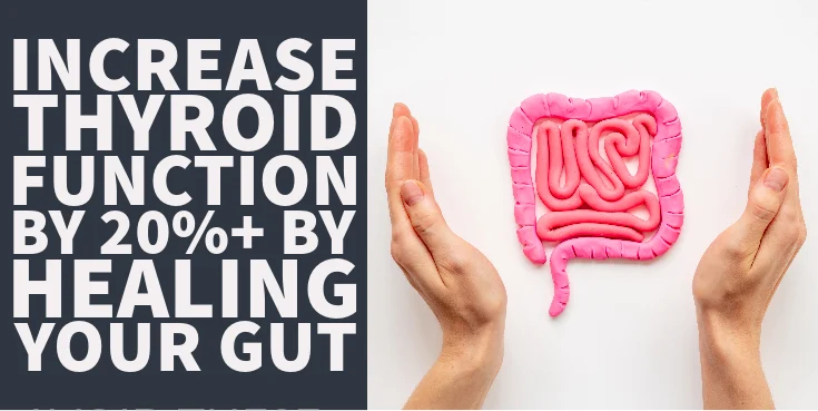 Increase Thyroid Function by 20%+ By Healing Your Gut