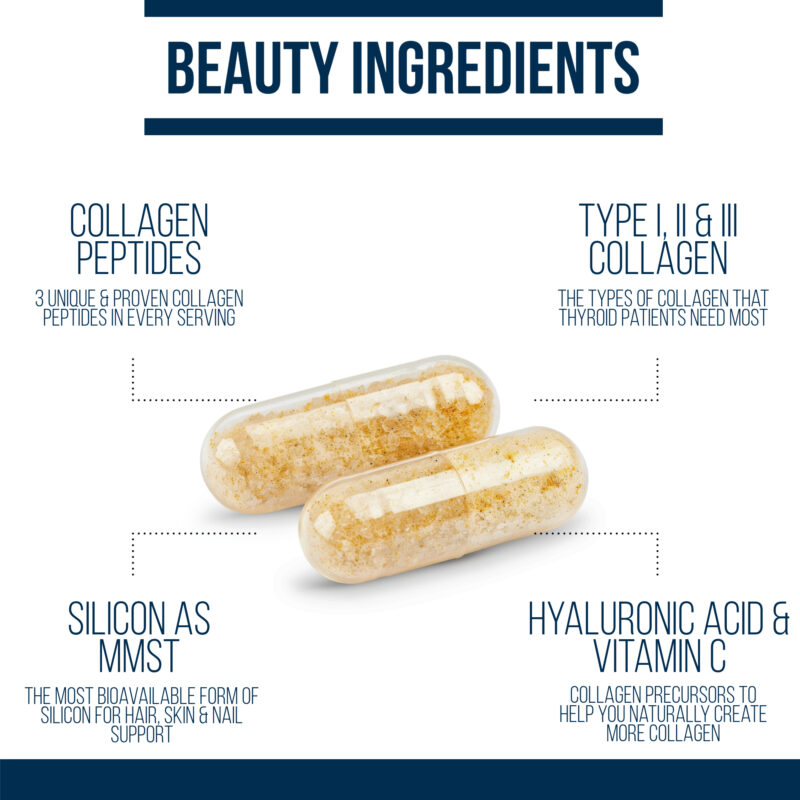 ingredients in dr. westin childs thyroid beauty bundle supplements for thyroid patients